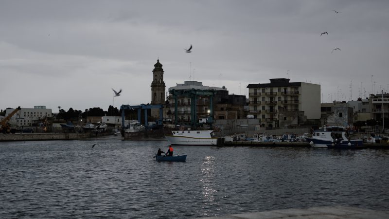 Te.Mare.Mola. La valorizzazione del territorio attraverso le eccellenze del mare e della terra. Mola di Bari, 23 dicembre 2024, Palazzo Roberti